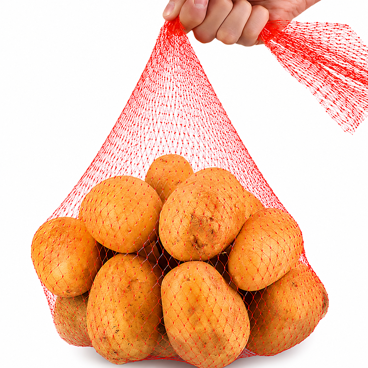 Packaging Net - Image 3